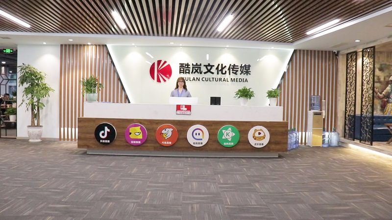 揭秘媒介投放平台定制系统的奥秘与应用