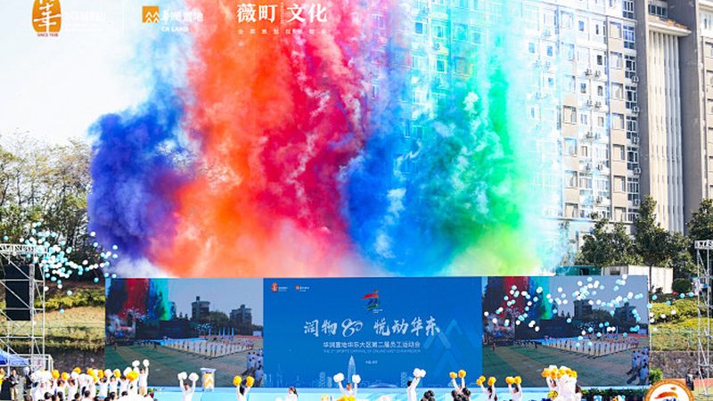 媒介投放合同规范指南：合规与风险防范**